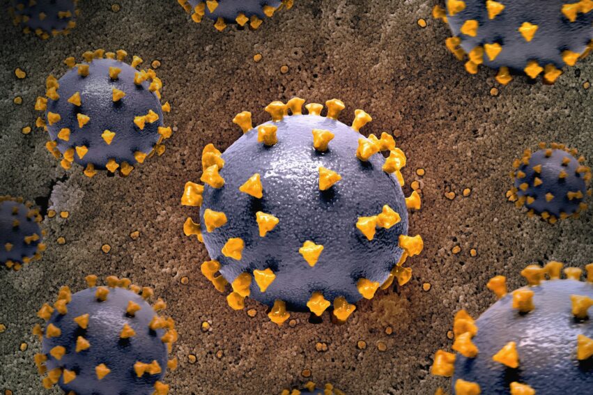 mpox variole singe sierra leone