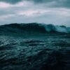 ocean assombrissent vie marine