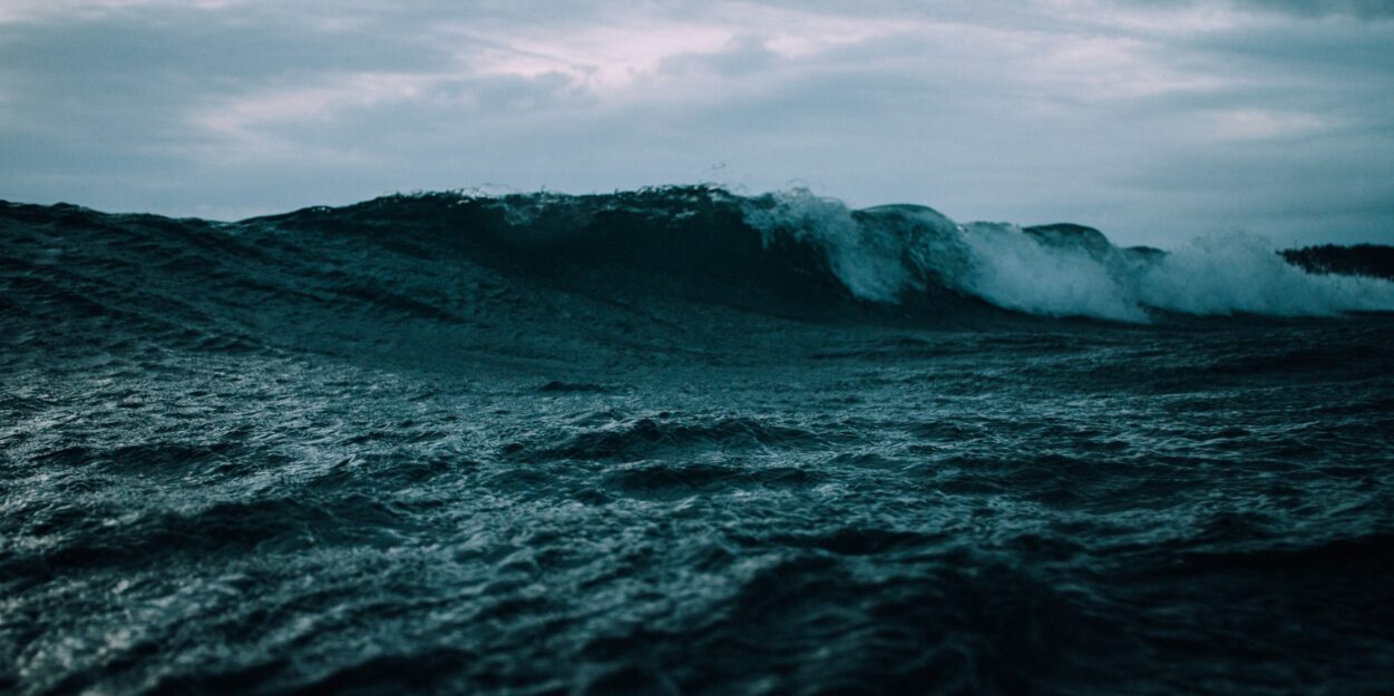 ocean assombrissent vie marine