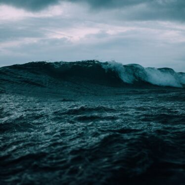 ocean assombrissent vie marine