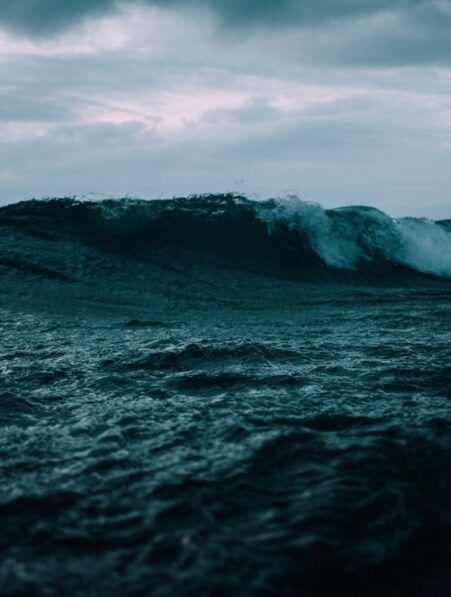 ocean assombrissent vie marine