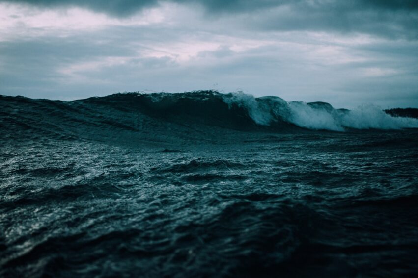 ocean assombrissent vie marine