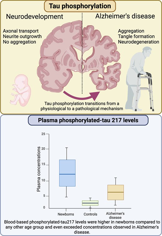 alzheimer proteine tau