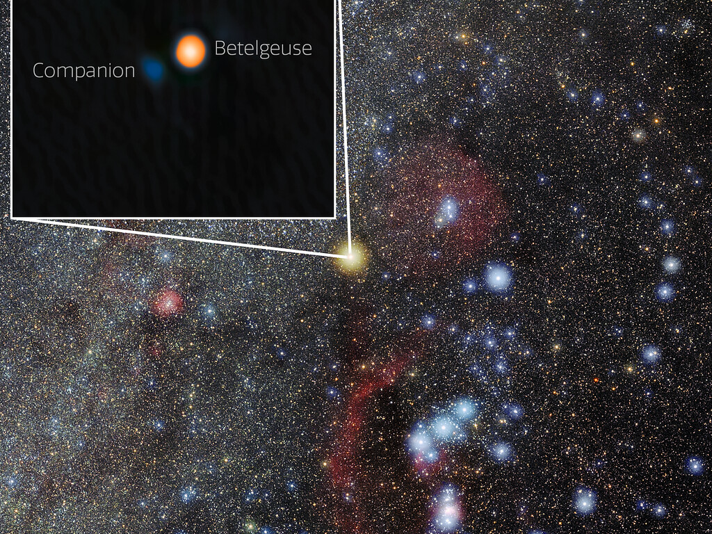 betelgeuse compagnon