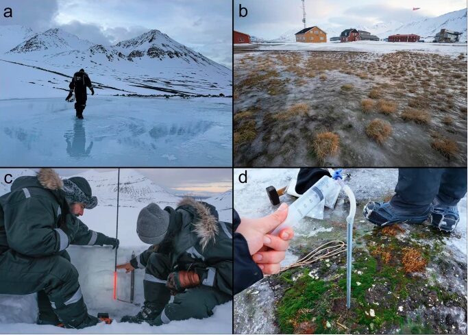 hiver svalbard
