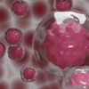 maladies auto-immunes therapie cellulaire