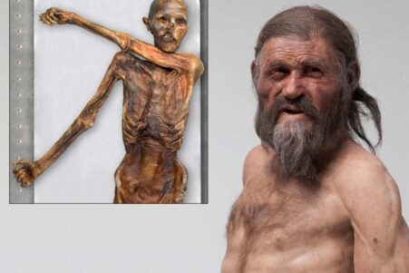 otzi homme glaces ancetre