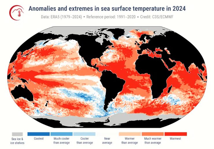anomalie mers 2024