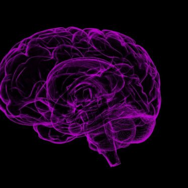 carte cerebrale amputation