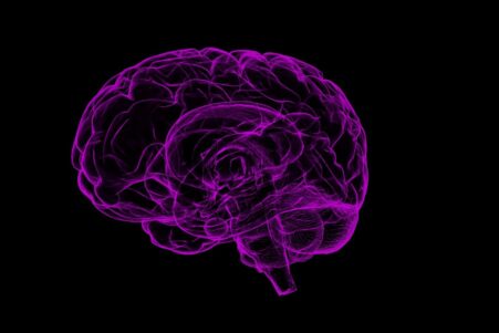 carte cerebrale amputation