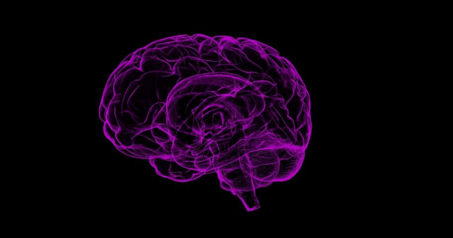 carte cerebrale amputation
