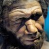 difference genetique neandertaliens