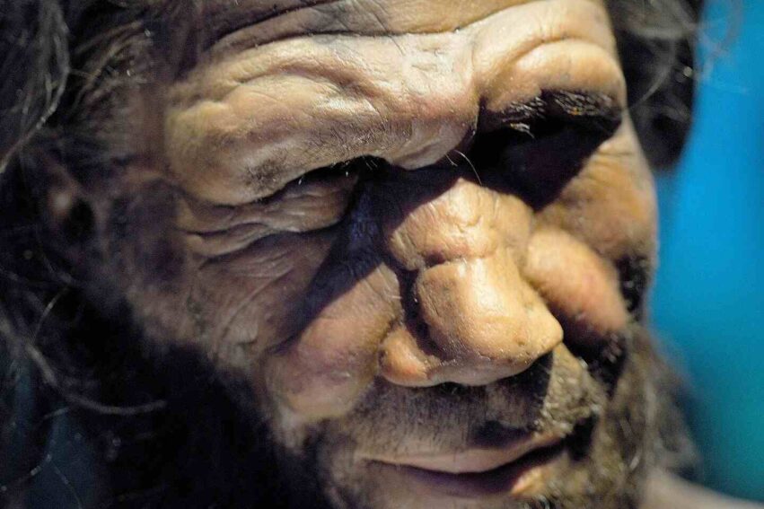difference genetique neandertaliens