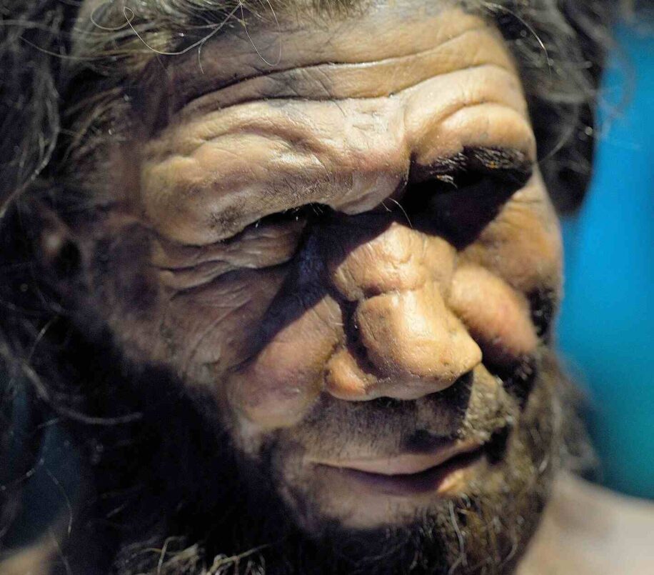 difference genetique neandertaliens