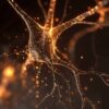 edition genetique cerveau