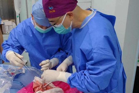 poumon porc transplante humain
