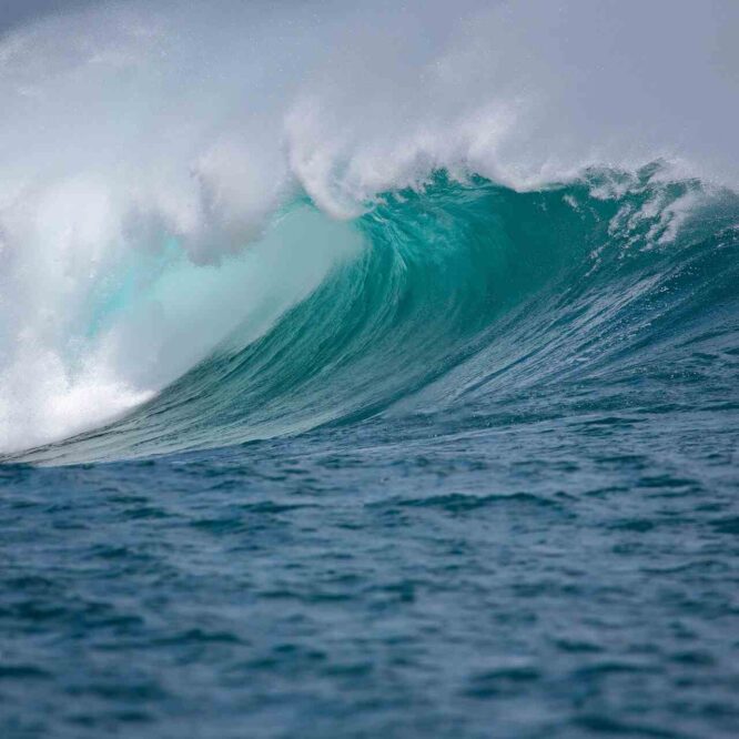 vagues scelerates exceptionnelles