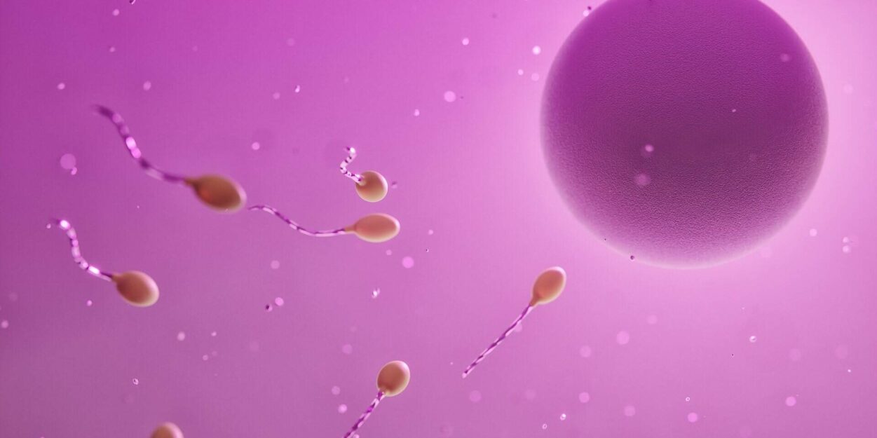cellules cutanees ovules
