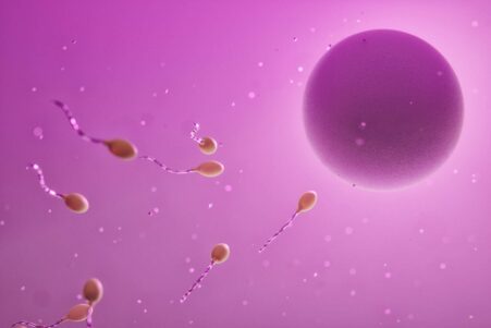 cellules cutanees ovules