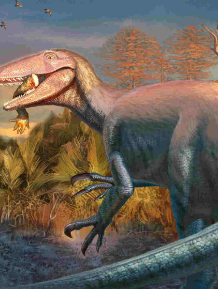 megaraptor proie patagonie