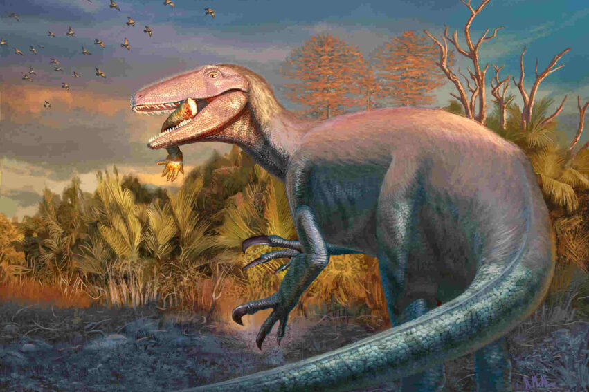 megaraptor proie patagonie