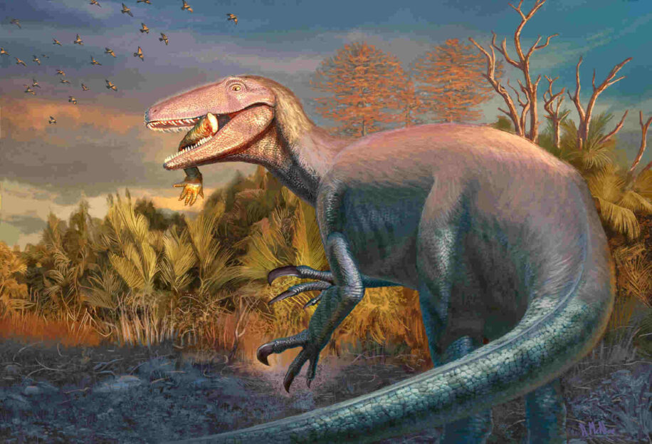 megaraptor proie patagonie