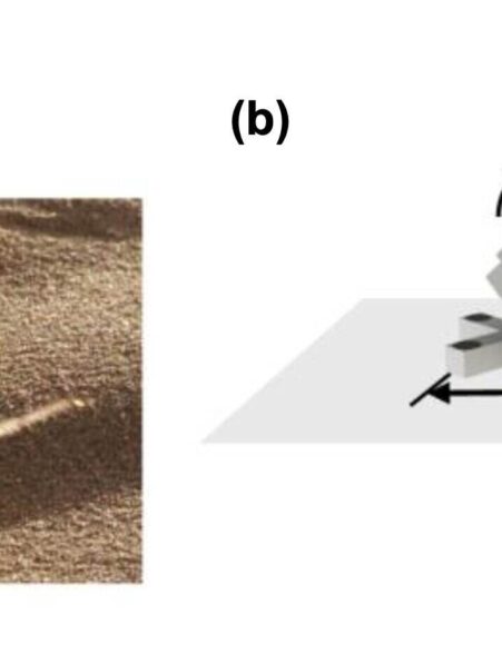 mini robot souples araignees