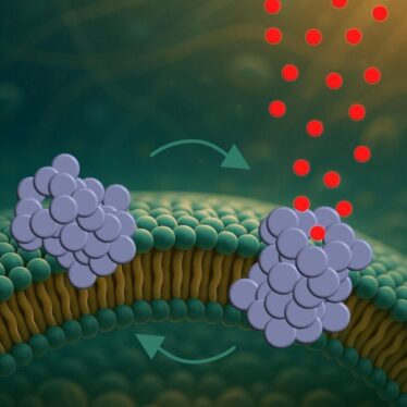 proteine trous parkinson