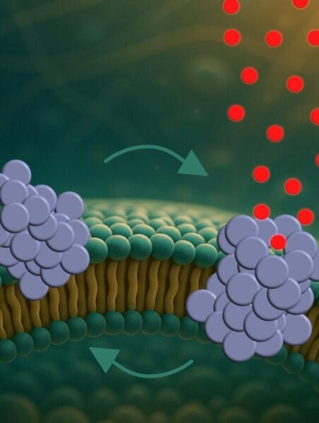 proteine trous parkinson