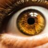 retrouve vue dent oeil
