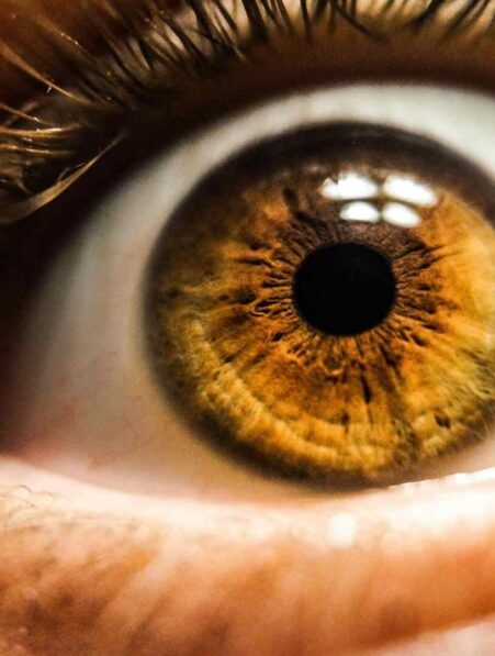 retrouve vue dent oeil