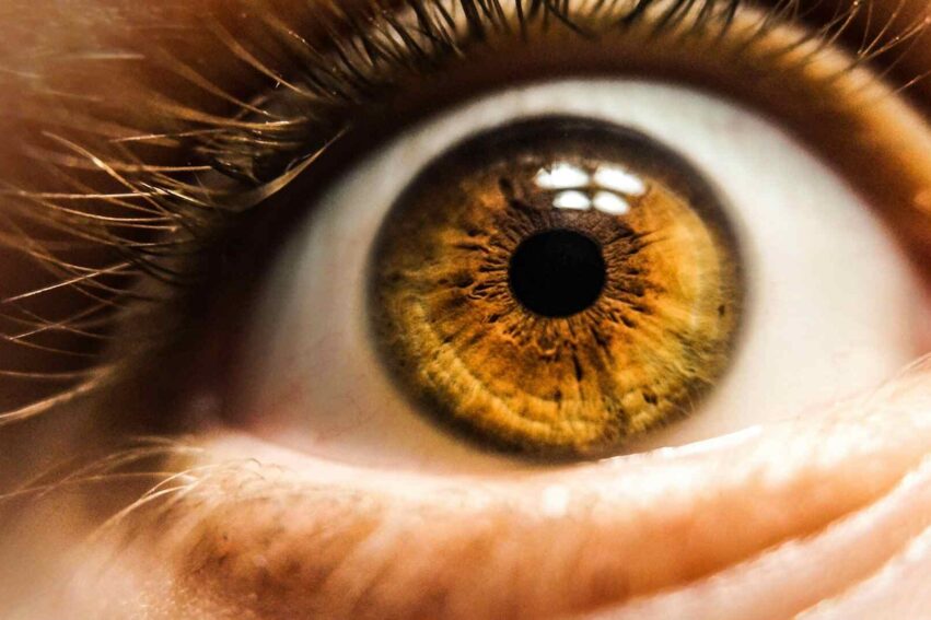 retrouve vue dent oeil
