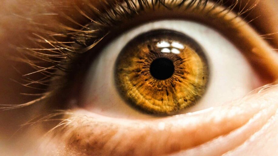 retrouve vue dent oeil