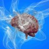 conscience partie cerveau