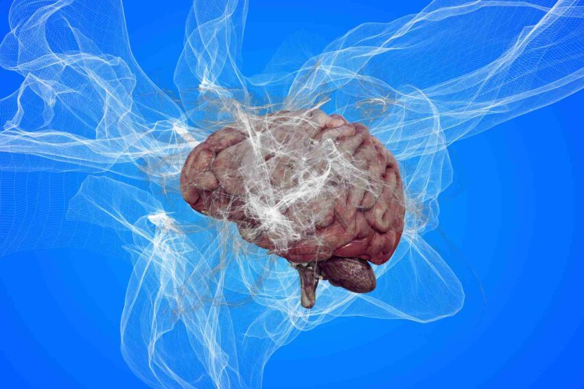 conscience partie cerveau