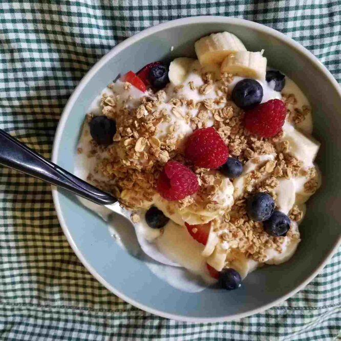 probiotiques prebiotiques inflammation