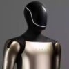 robot tesla mars