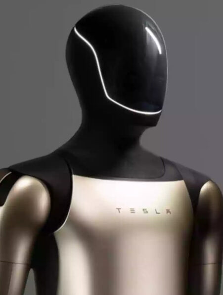 robot tesla mars