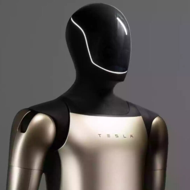 robot tesla mars