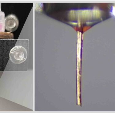 impression-3D-moustique-couv