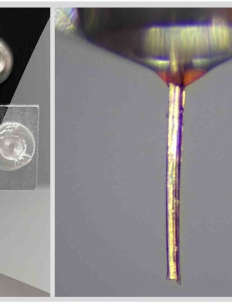 impression-3D-moustique-couv