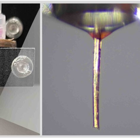 impression-3D-moustique-couv