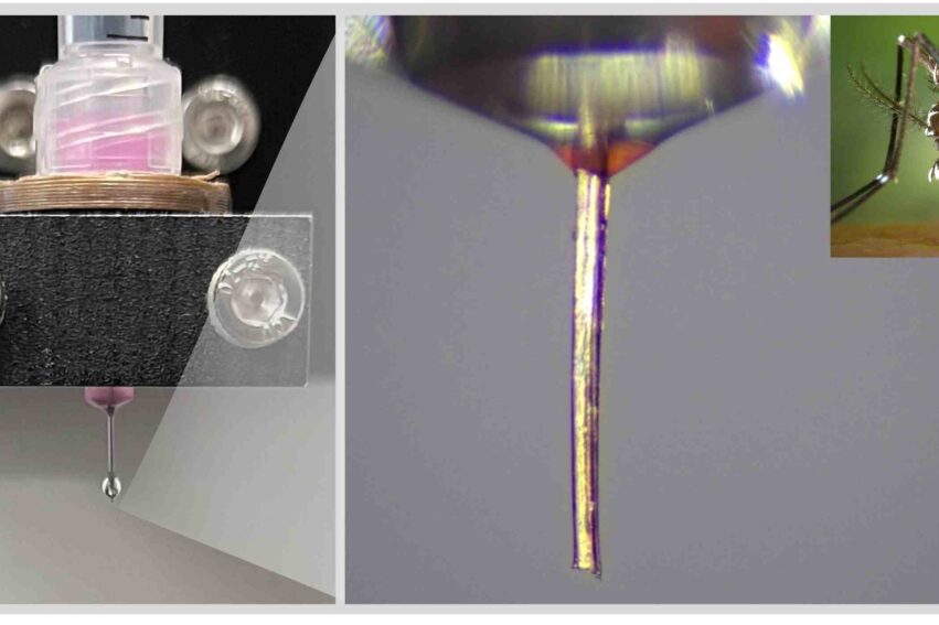 impression-3D-moustique-couv