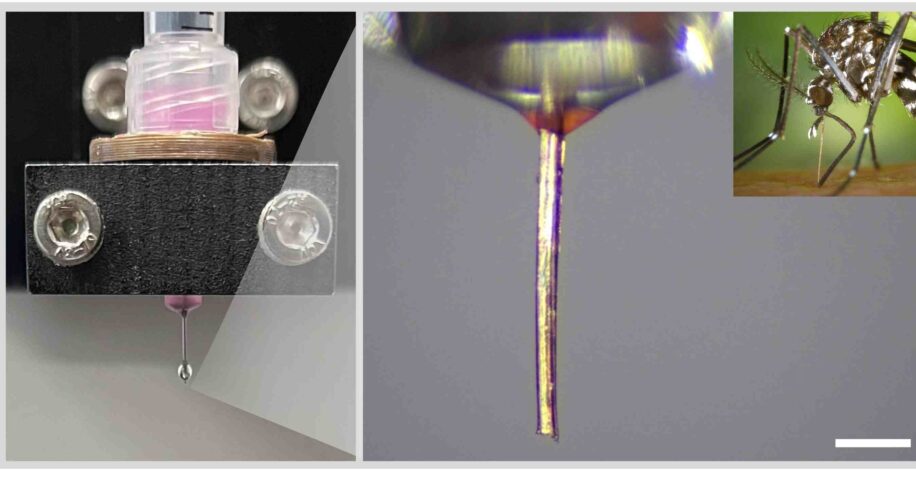 impression-3D-moustique-couv