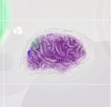 Le cerveau et l’interprétation de la volatilité des machines à sous