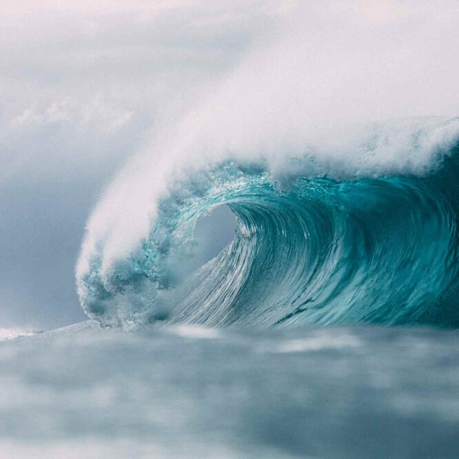 tempete-vagues-titanesques-couv