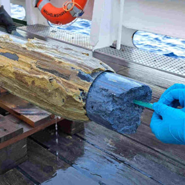 traces-vie-substance-couv