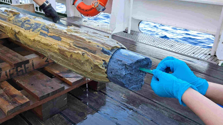 traces-vie-substance-couv