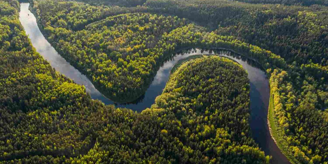 amazonie-hypertropicale-bascule-couv