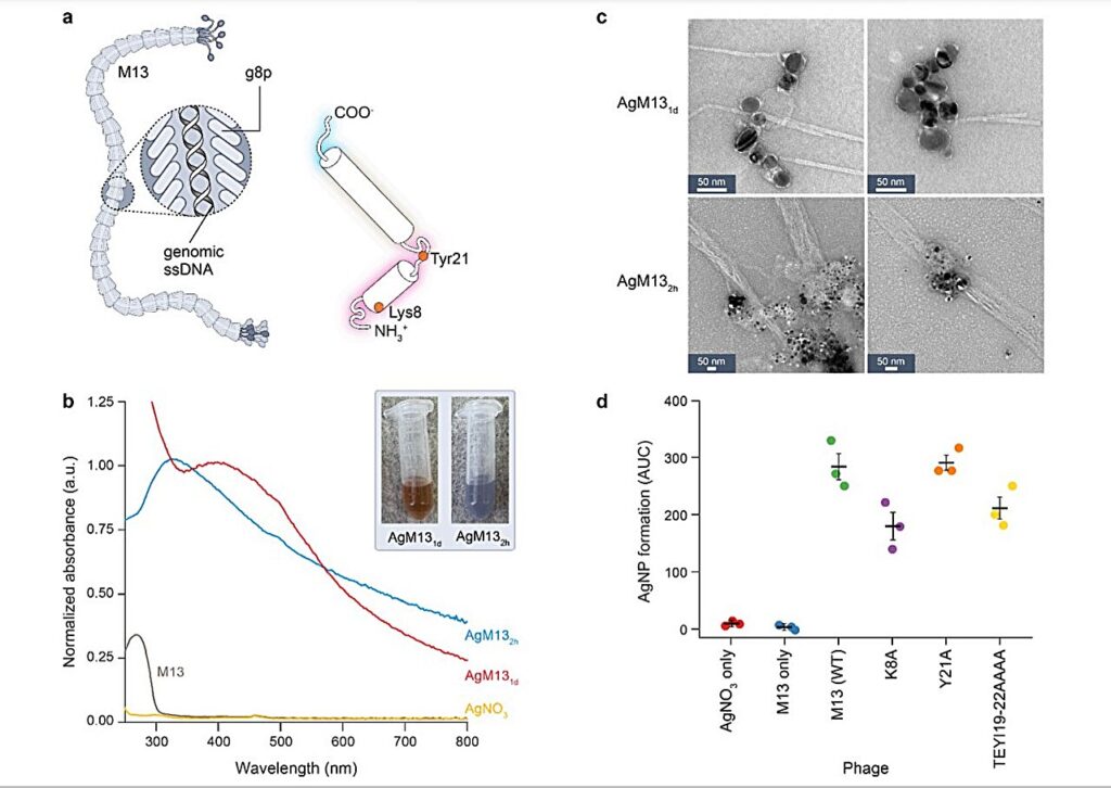 argents-nanoparticules